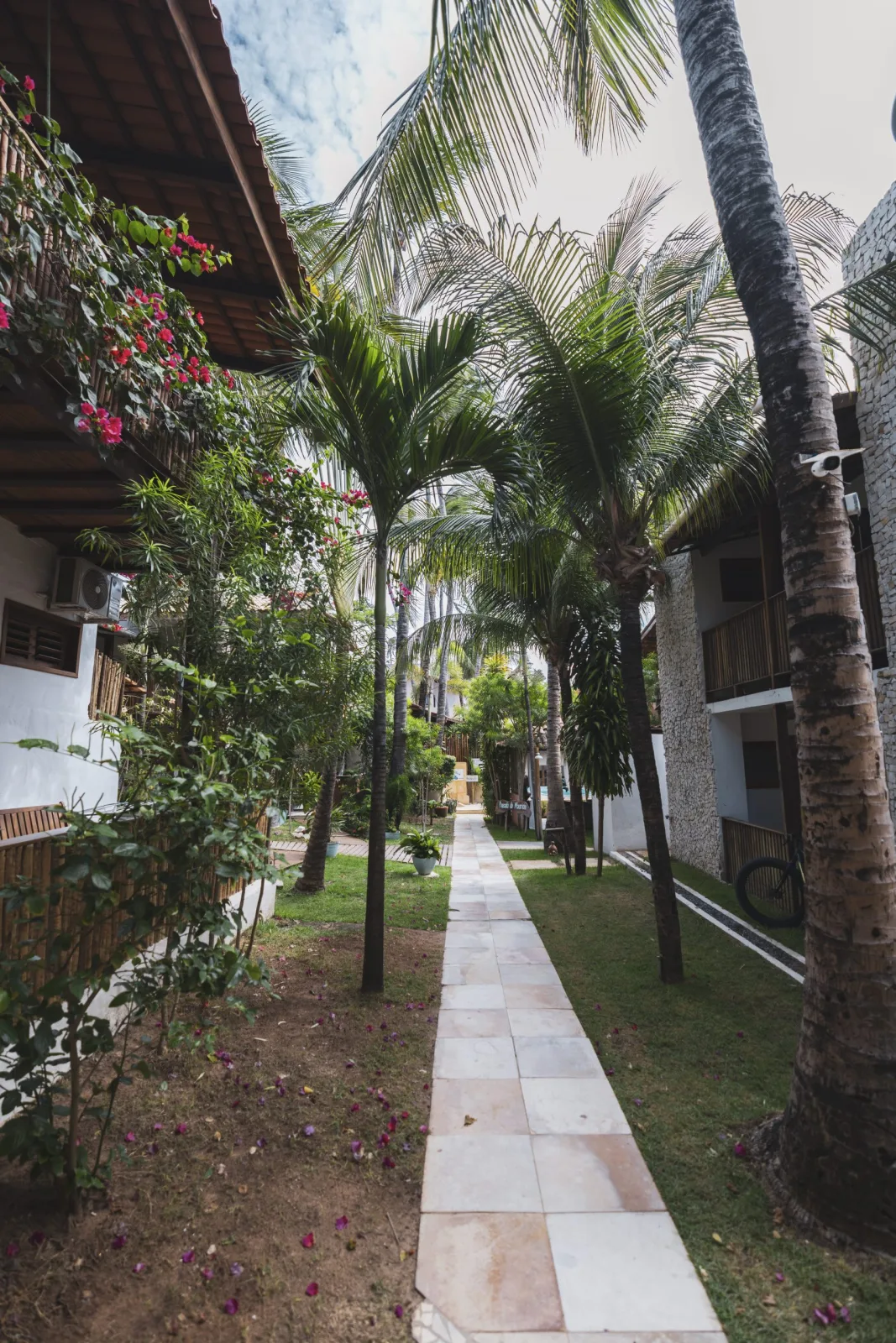 wing-master-jericoacoara-novembre-2026-gallery-18.webp